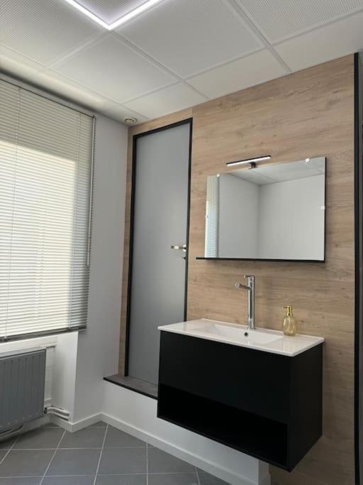 Appartement La Citadelle Belfort Dış mekan fotoğraf
