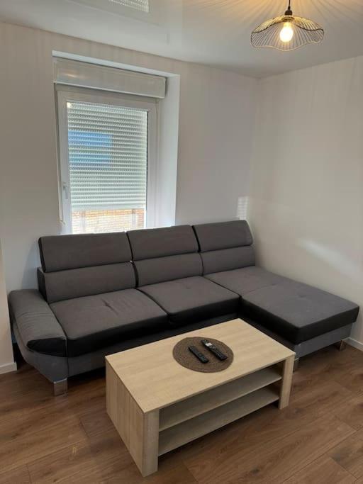 Appartement La Citadelle Belfort Dış mekan fotoğraf